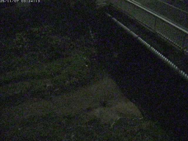 取得できませんでした