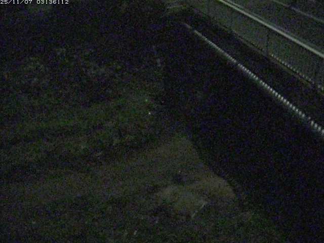 取得できませんでした