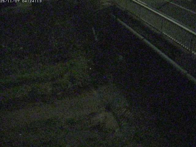 取得できませんでした