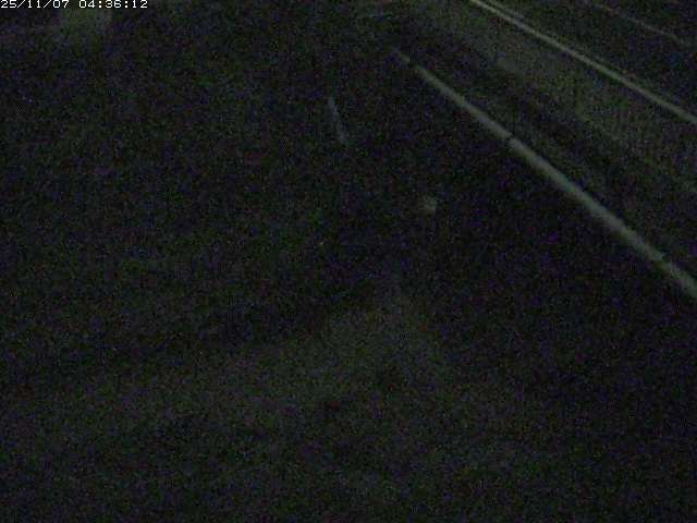 取得できませんでした