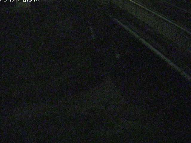 取得できませんでした