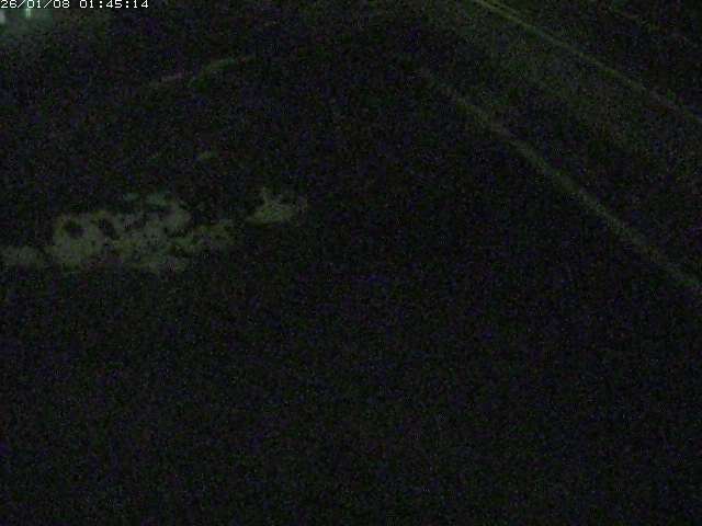 取得できませんでした