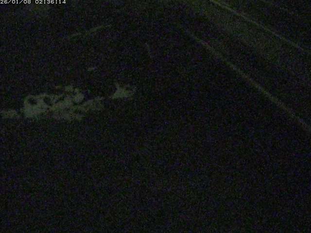 取得できませんでした