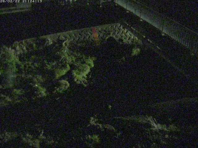 取得できませんでした