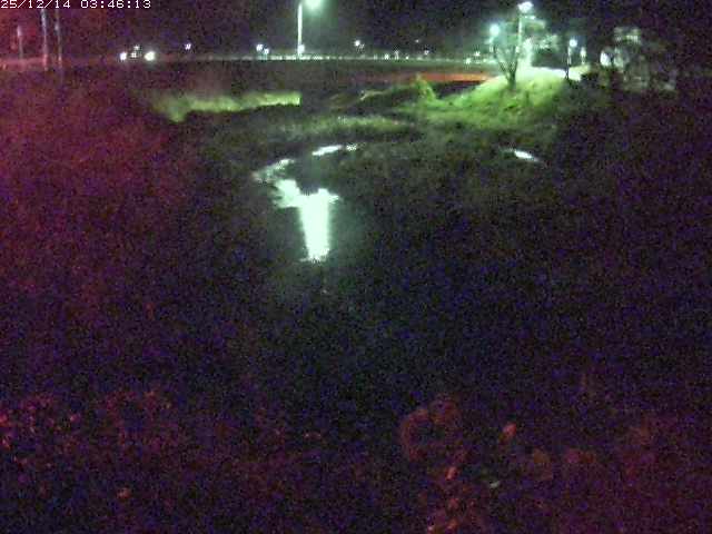 取得できませんでした