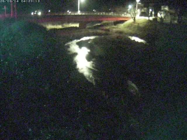 取得できませんでした