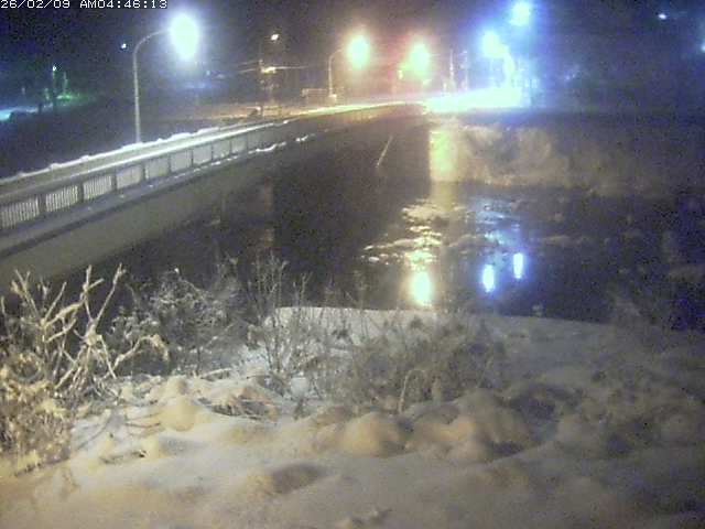 取得できませんでした