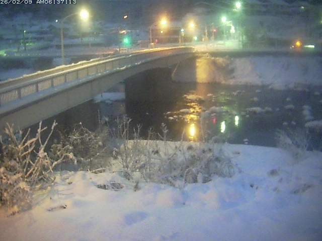 取得できませんでした