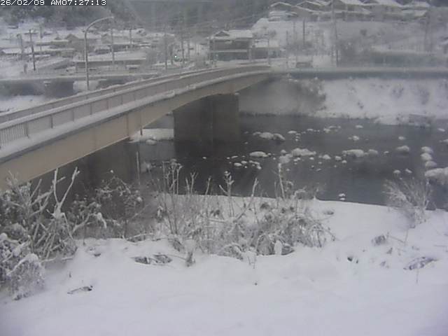 取得できませんでした