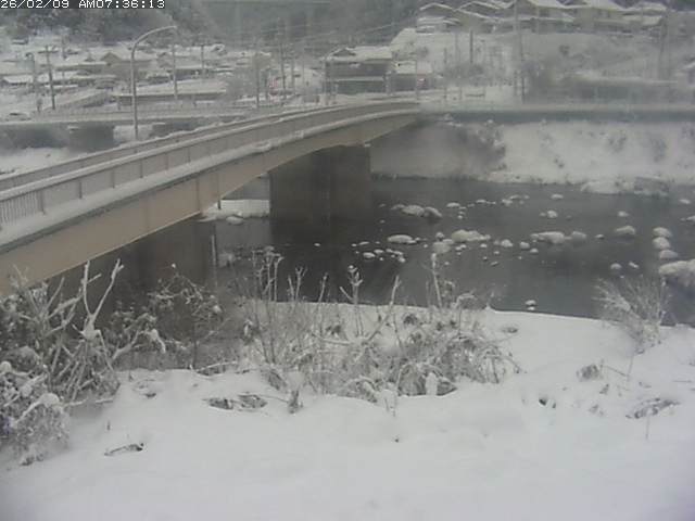 取得できませんでした