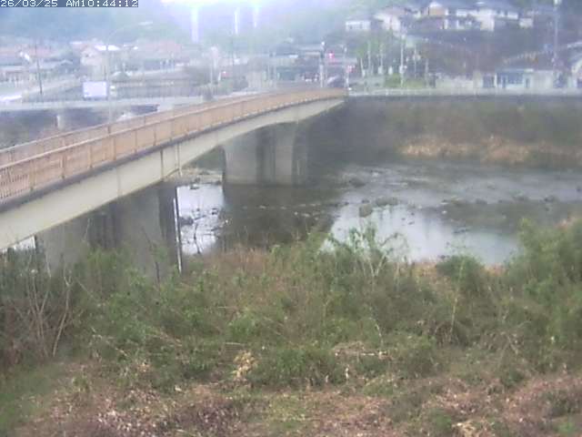 取得できませんでした