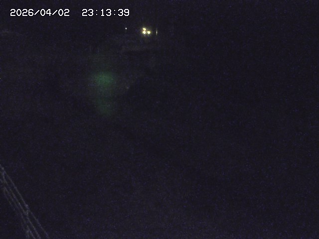 取得できませんでした