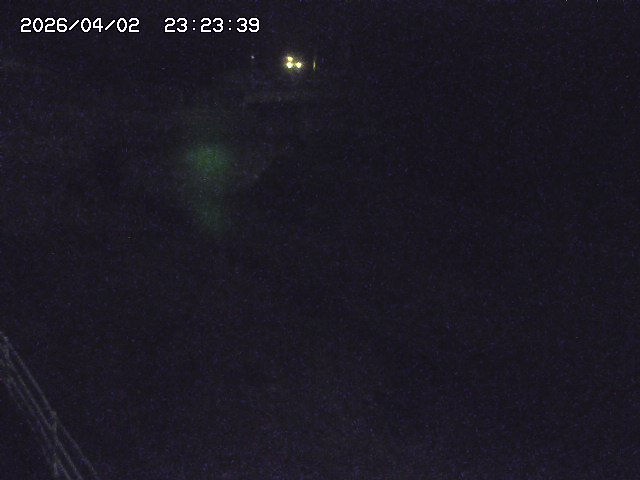 取得できませんでした