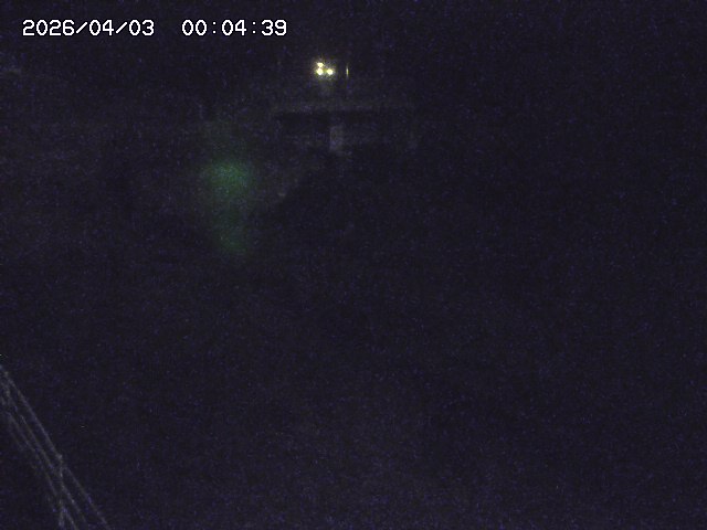 取得できませんでした