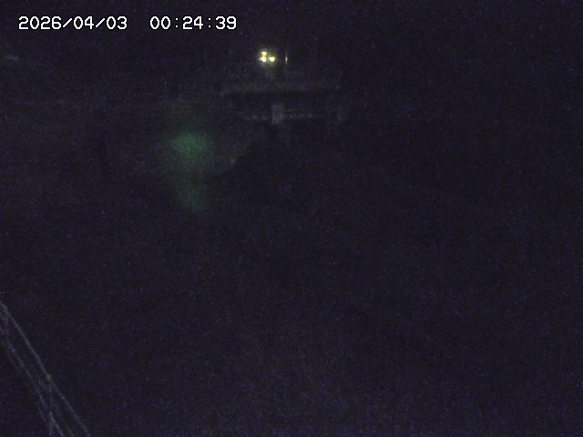 取得できませんでした