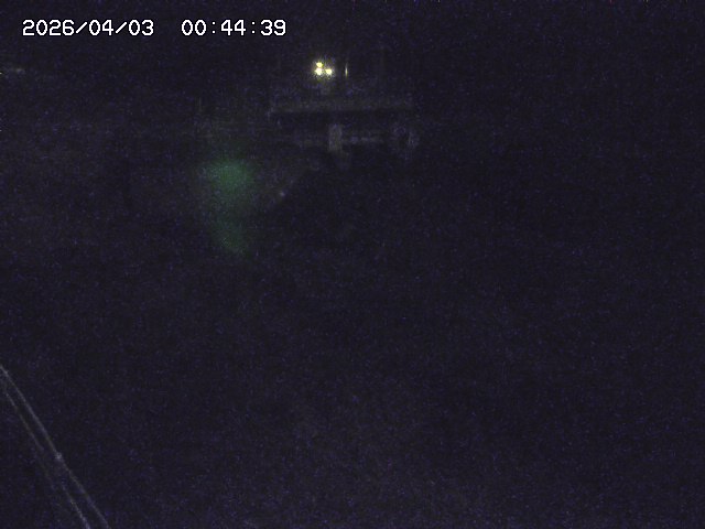 取得できませんでした