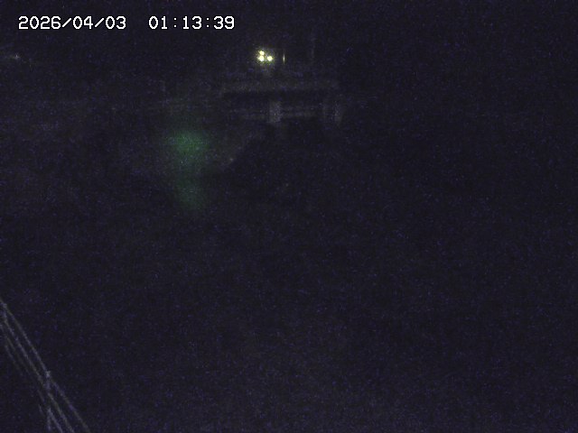 取得できませんでした