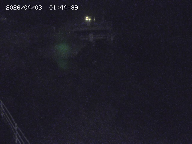 取得できませんでした