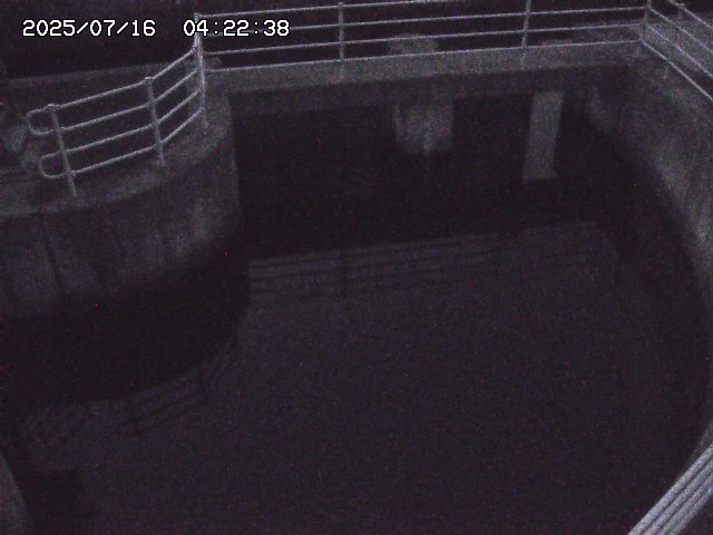 取得できませんでした