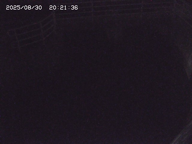 取得できませんでした