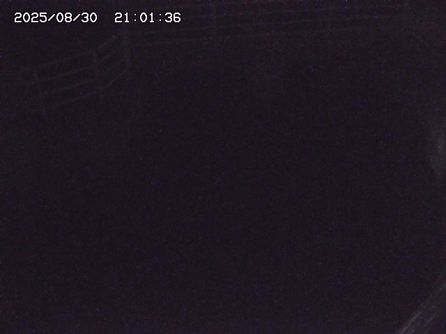取得できませんでした