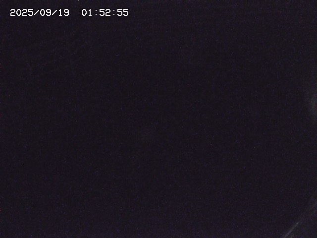 取得できませんでした