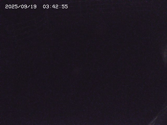 取得できませんでした