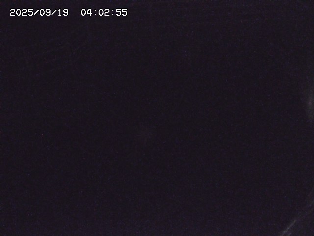 取得できませんでした