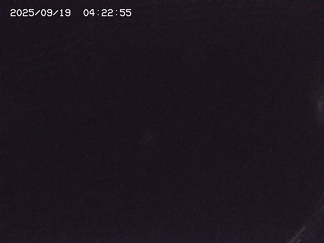 取得できませんでした