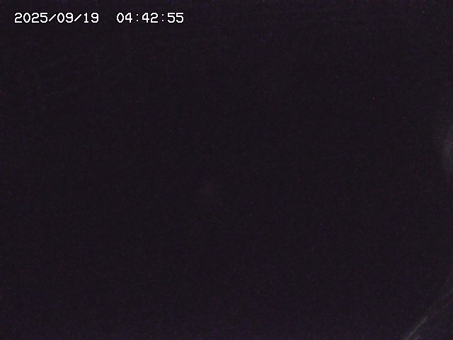 取得できませんでした