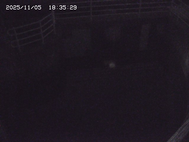 取得できませんでした