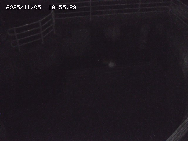 取得できませんでした