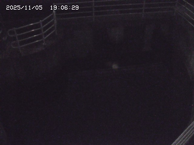 取得できませんでした