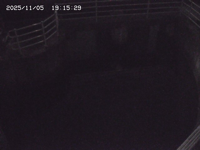 取得できませんでした