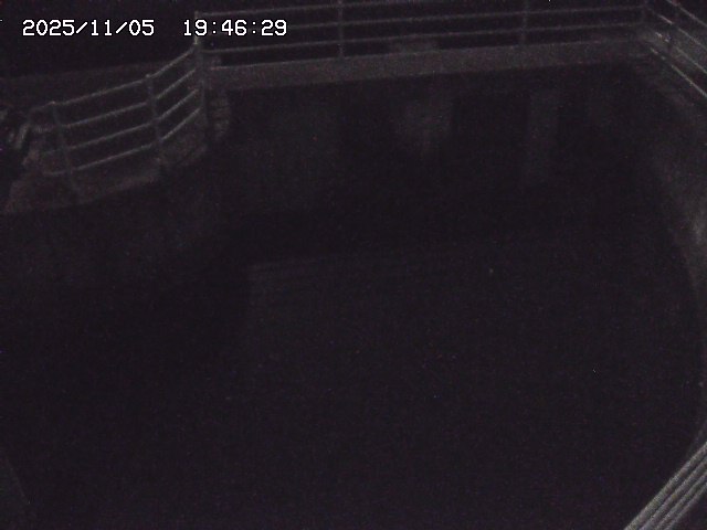 取得できませんでした