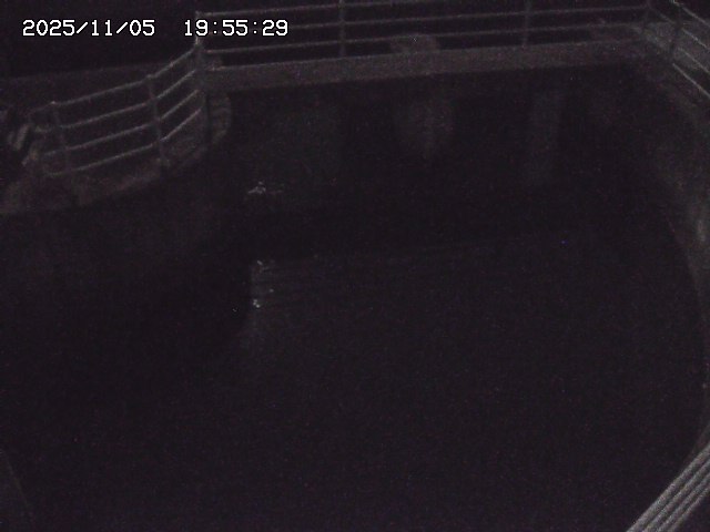 取得できませんでした