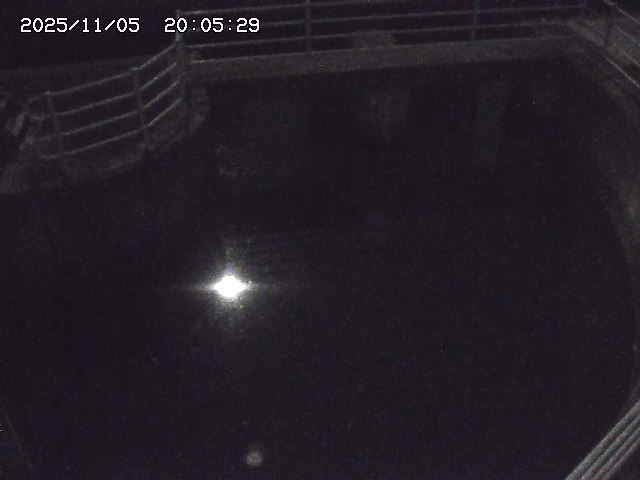 取得できませんでした