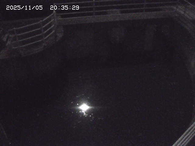 取得できませんでした