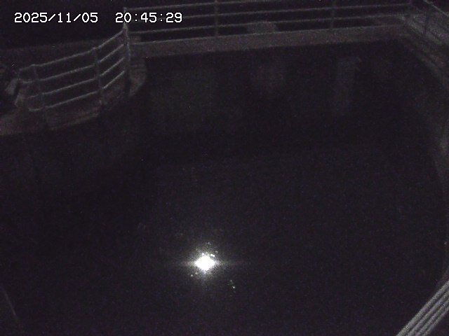 取得できませんでした