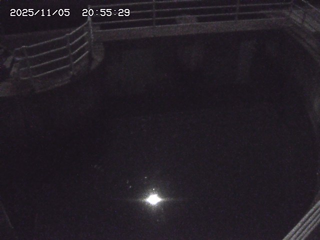 取得できませんでした