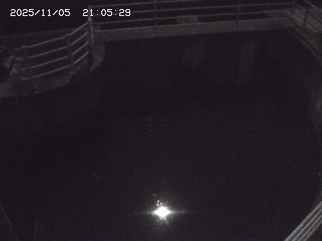 取得できませんでした