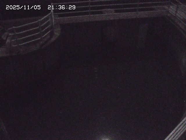 取得できませんでした