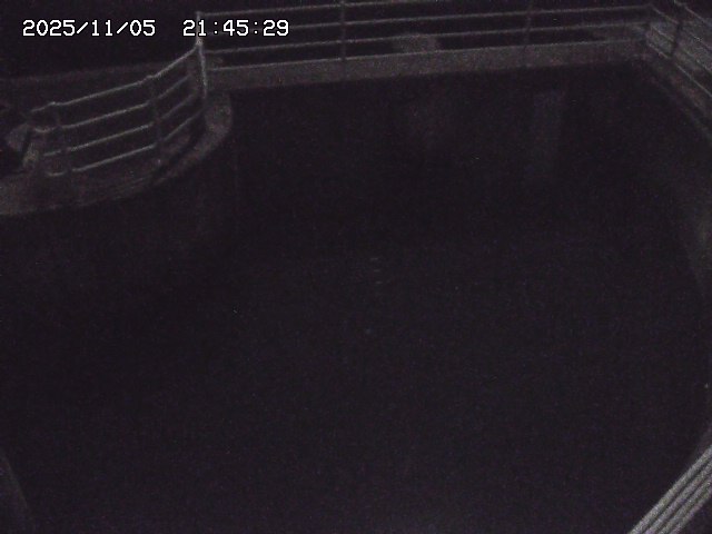 取得できませんでした