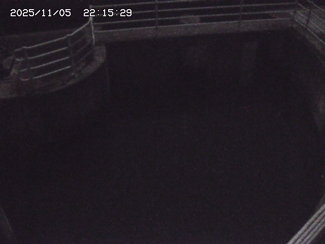 取得できませんでした