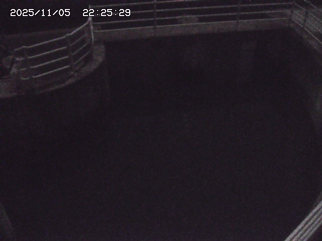 取得できませんでした