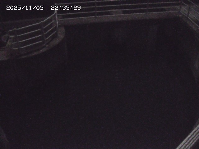 取得できませんでした