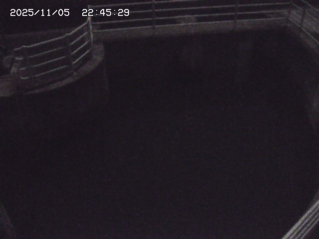 取得できませんでした