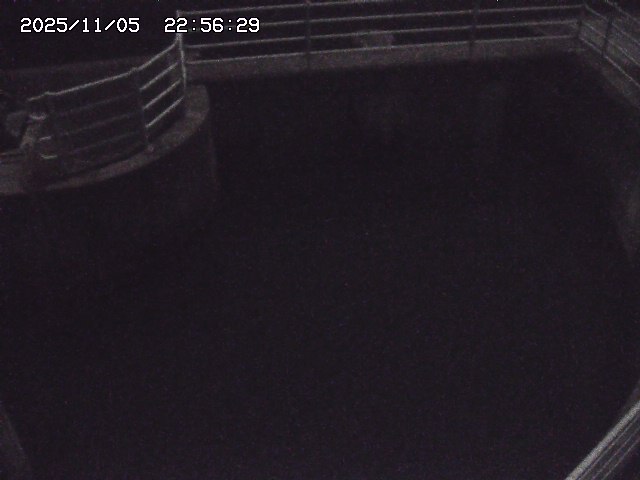 取得できませんでした