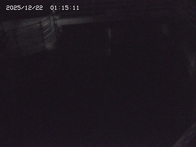 取得できませんでした