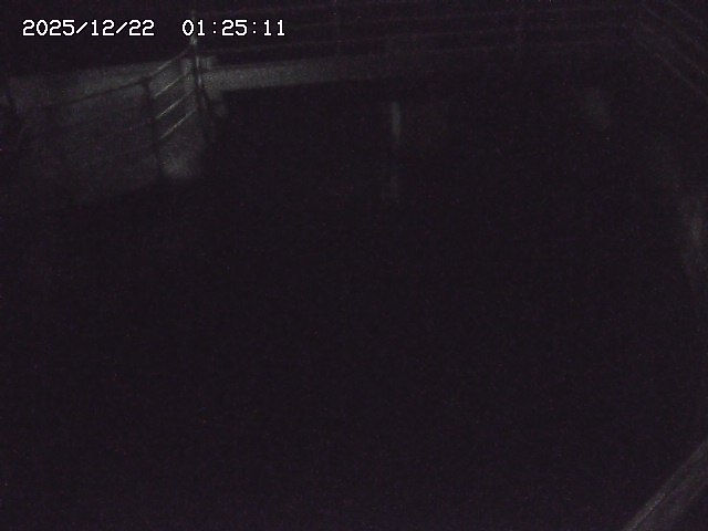 取得できませんでした